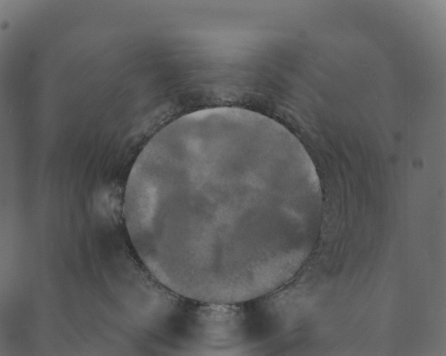 X0000089660672200707121200