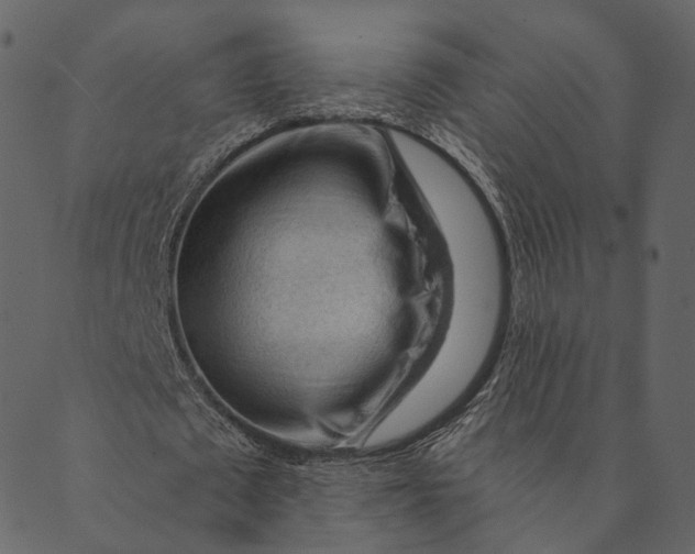 X0000089660673200707121159