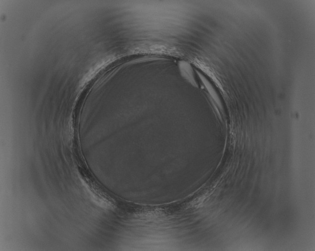 X0000089660674200707121159