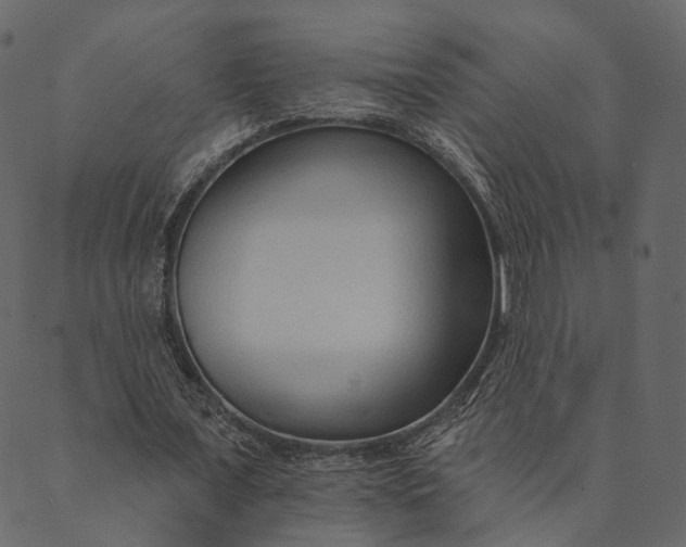 X0000089660675200707121159