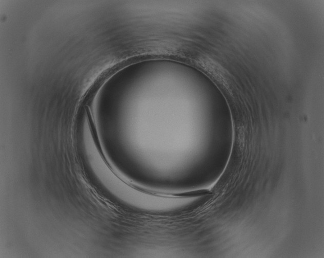 X0000089660676200707121159