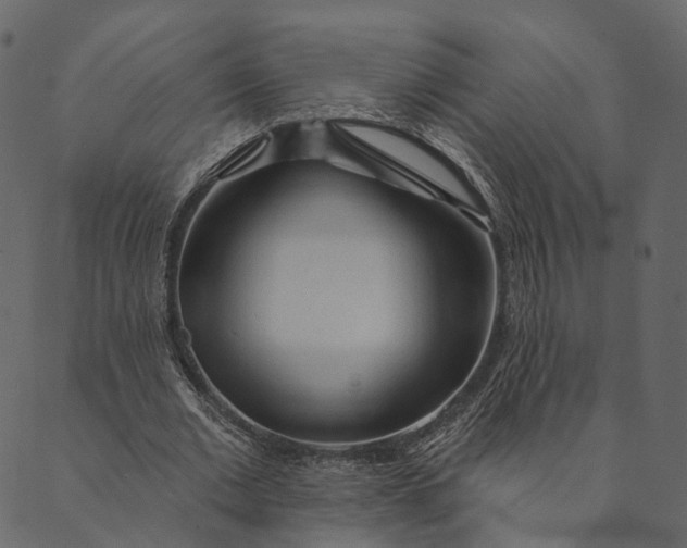 X0000089660677200707121159