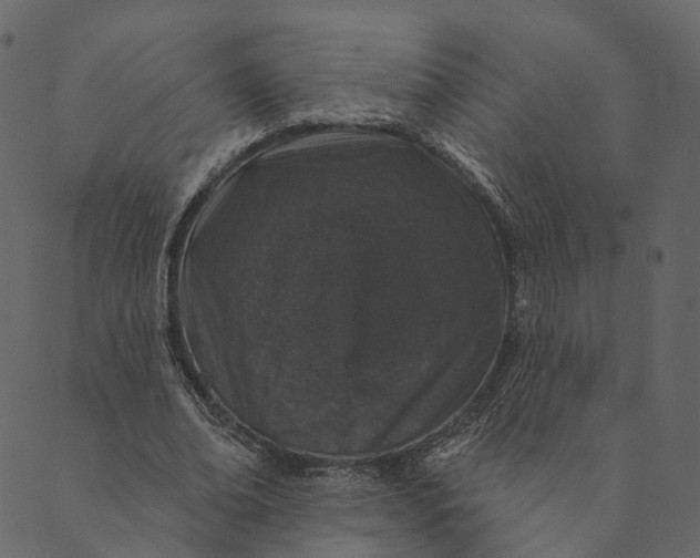 X0000089660678200707121159