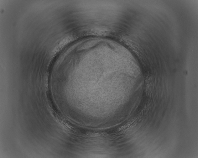 X0000089660679200707121159