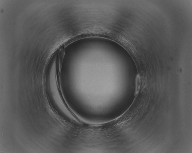 X0000089660680200707121159