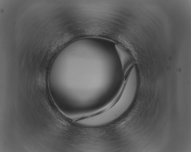 X0000089660681200707121159