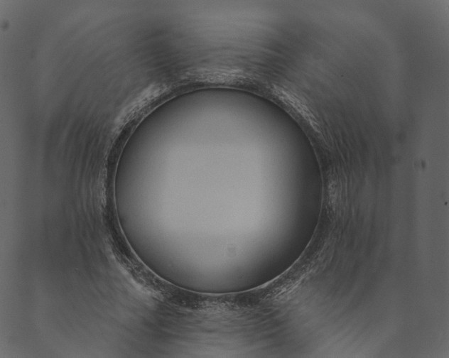 X0000089660682200707121159