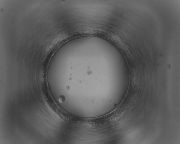 X0000089660683200707121159