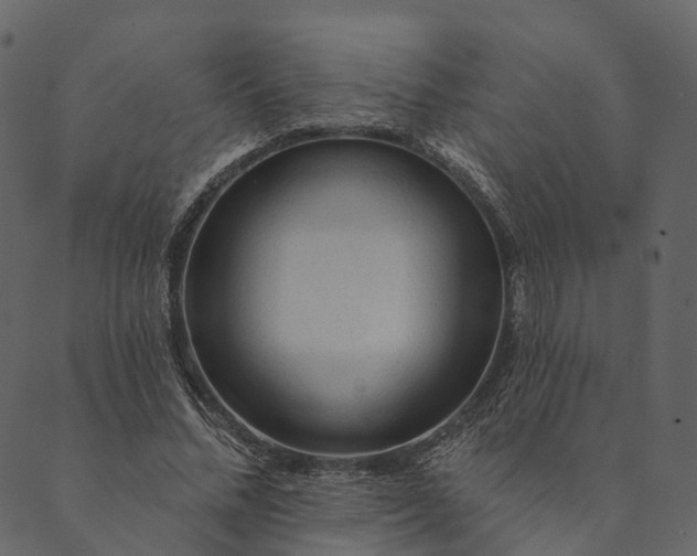 X0000089660684200707121159