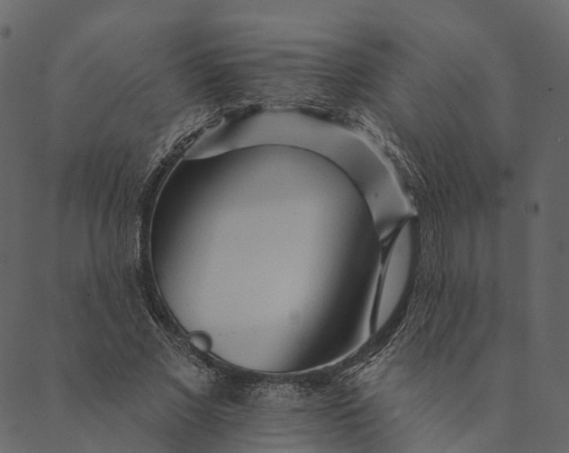 X0000089660685200707121159