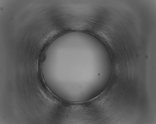 X0000089660686200707121159