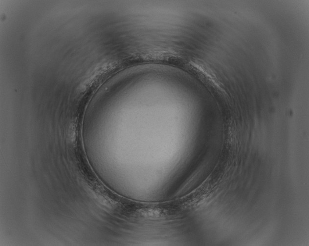 X0000089660687200707121159