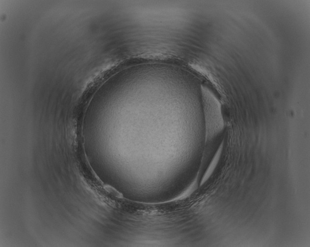 X0000089660688200707121159