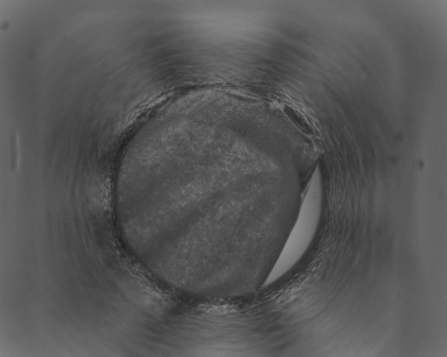 X0000089660689200707121159