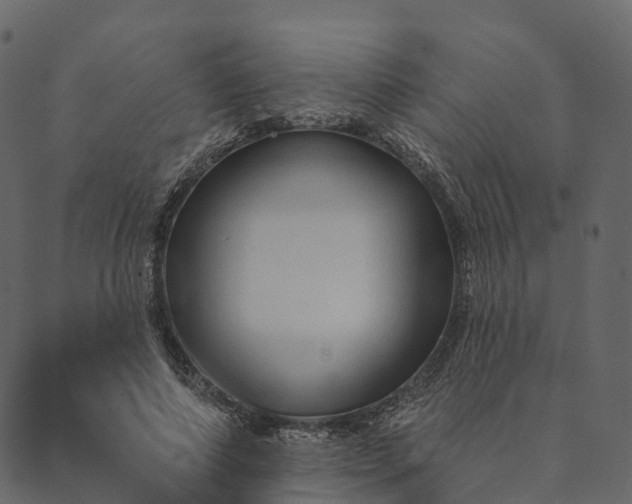 X0000089660690200707121159