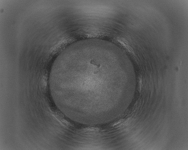 X0000089660691200707121159