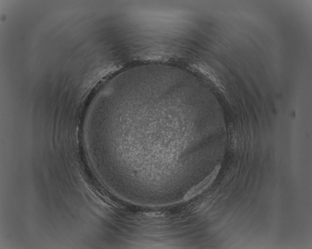 X0000089660692200707121159