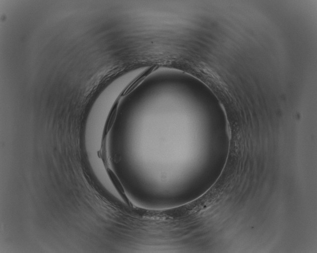 X0000089660693200707121159