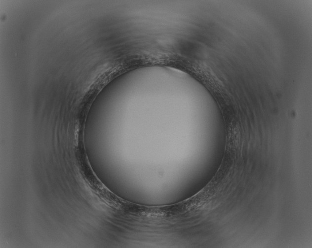 X0000089660694200707121159