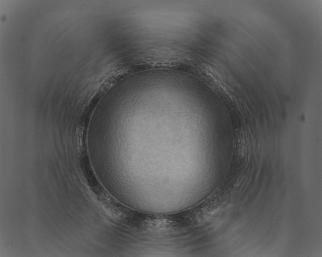 X0000089660695200707121159