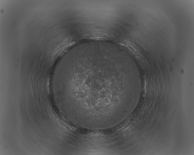 X0000089660696200707121159