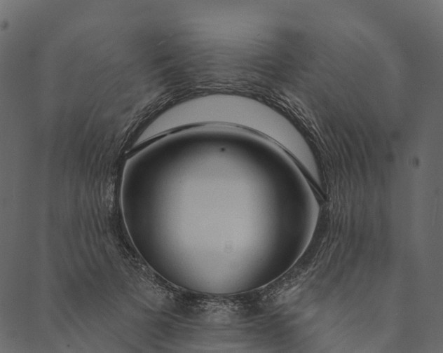 X0000089660697200707121159