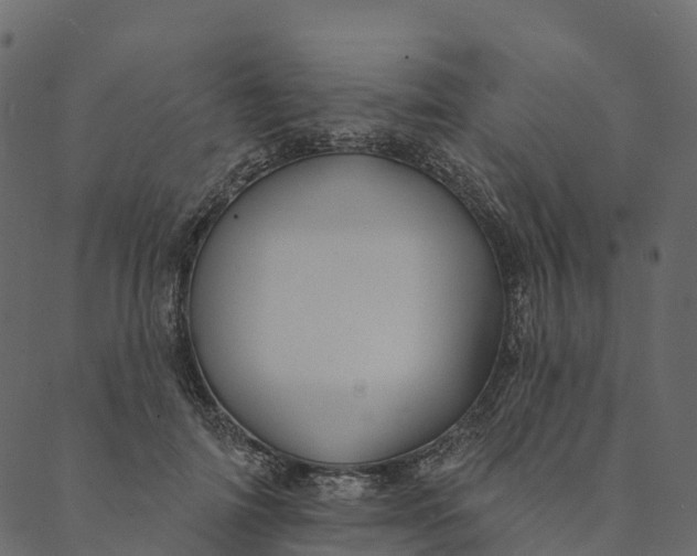 X0000089660698200707121159