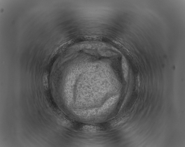 X0000089660699200707121159