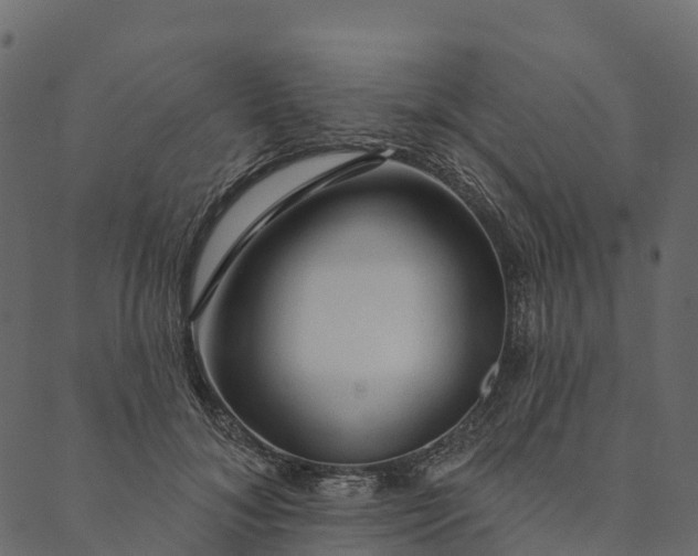 X0000089660700200707121159