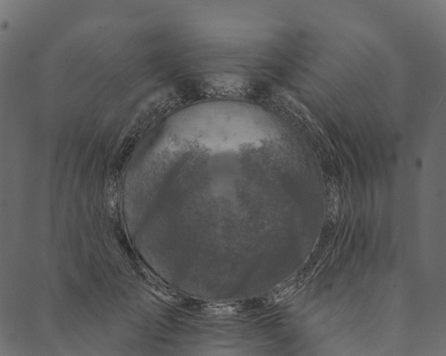 X0000089660701200707121159