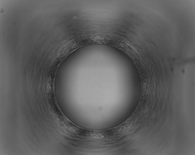 X0000089660702200707121159