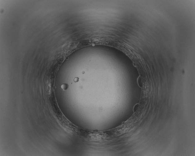 X0000089660703200707121159