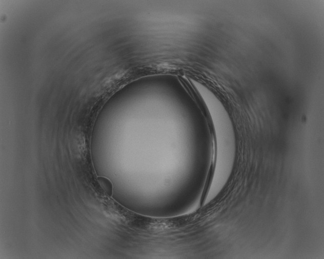 X0000089660704200707121159