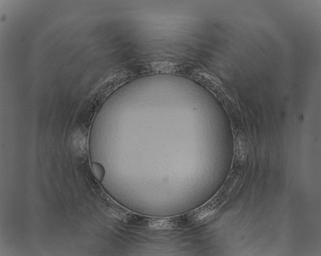 X0000089660705200707121159