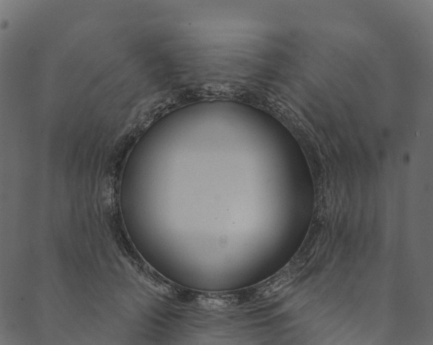 X0000089660706200707121159