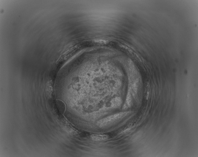 X0000089660707200707121159