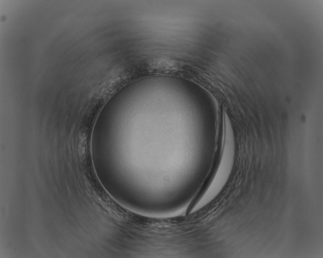 X0000089660708200707121159