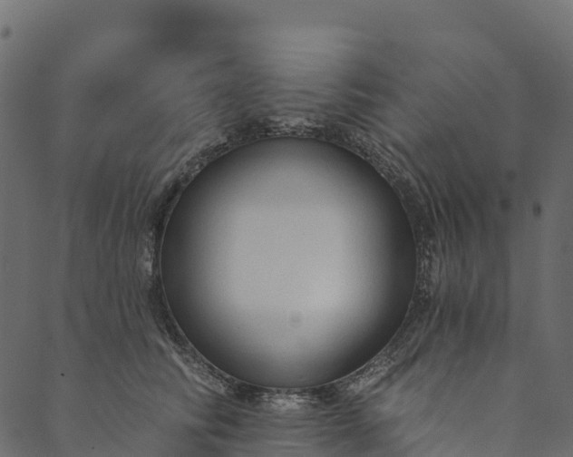 X0000089660710200707121159