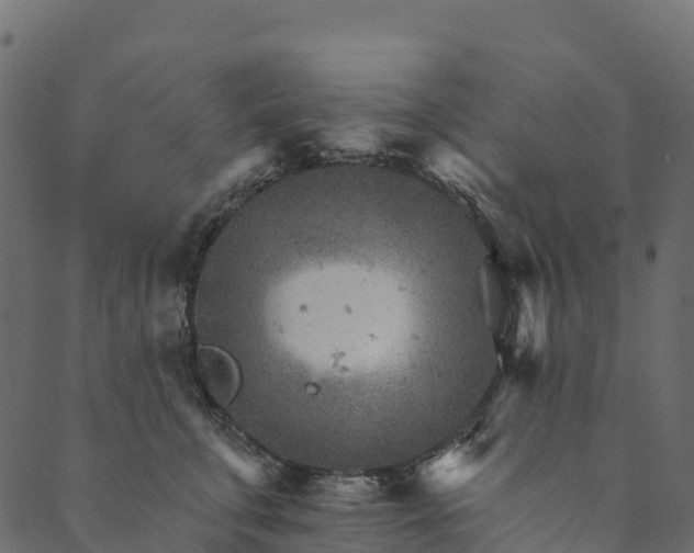 X0000089660711200707121159