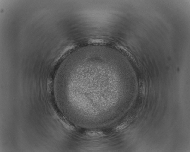 X0000089660712200707121159