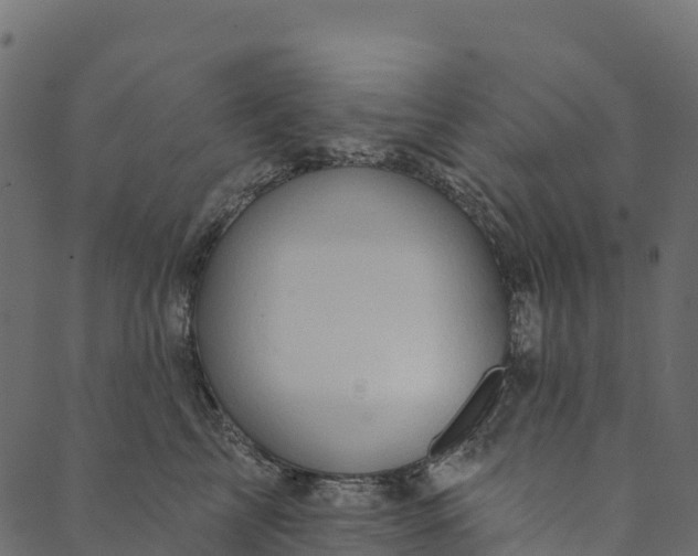 X0000089660713200707121159