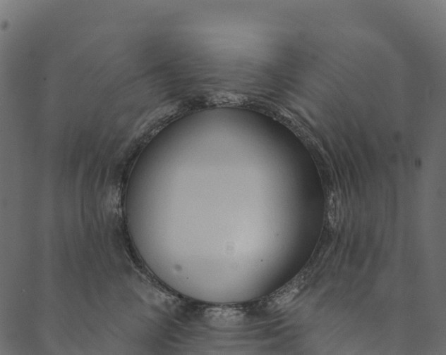 X0000089660714200707121159