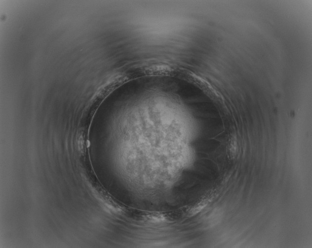 X0000089660715200707121159