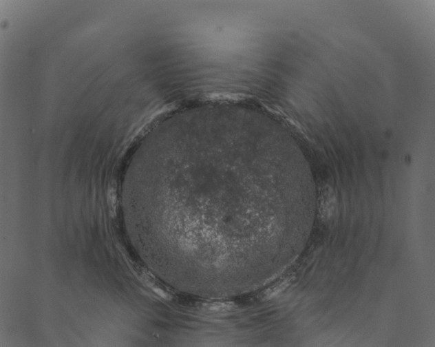 X0000089660716200707121159