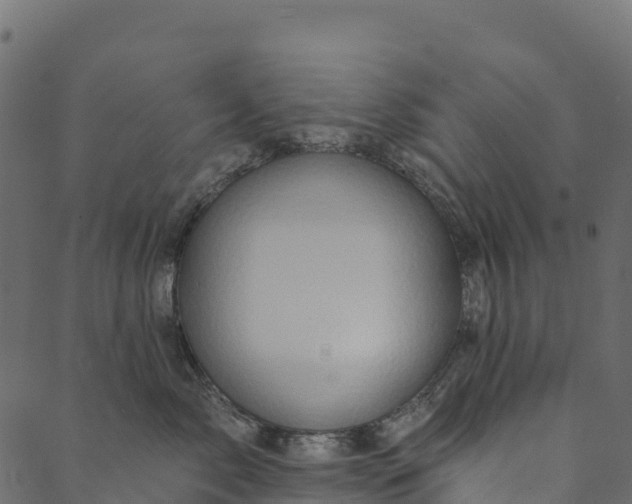 X0000089660717200707121159