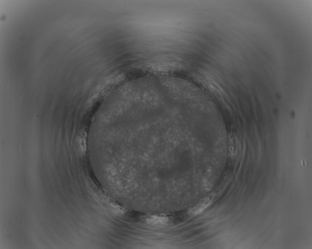 X0000089660718200707121159