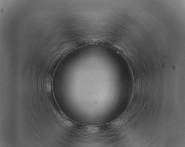 X0000089660719200707121159