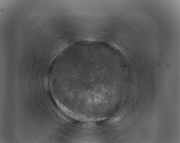 X0000089660720200707121159