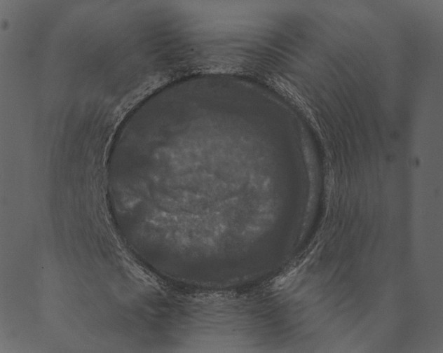 X0000089660721200707121158