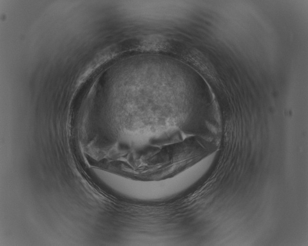 X0000089660722200707121158